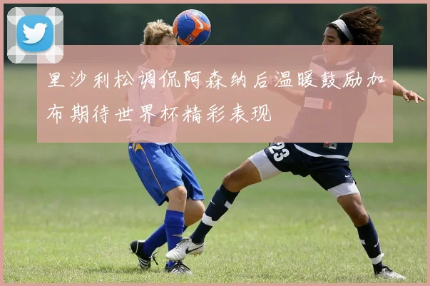 里沙利松调侃阿森纳后温暖鼓励加布期待世界杯精彩表现