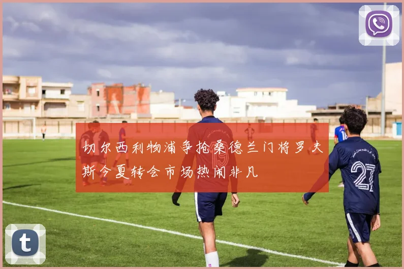 切尔西利物浦争抢桑德兰门将罗夫斯今夏转会市场热闹非凡